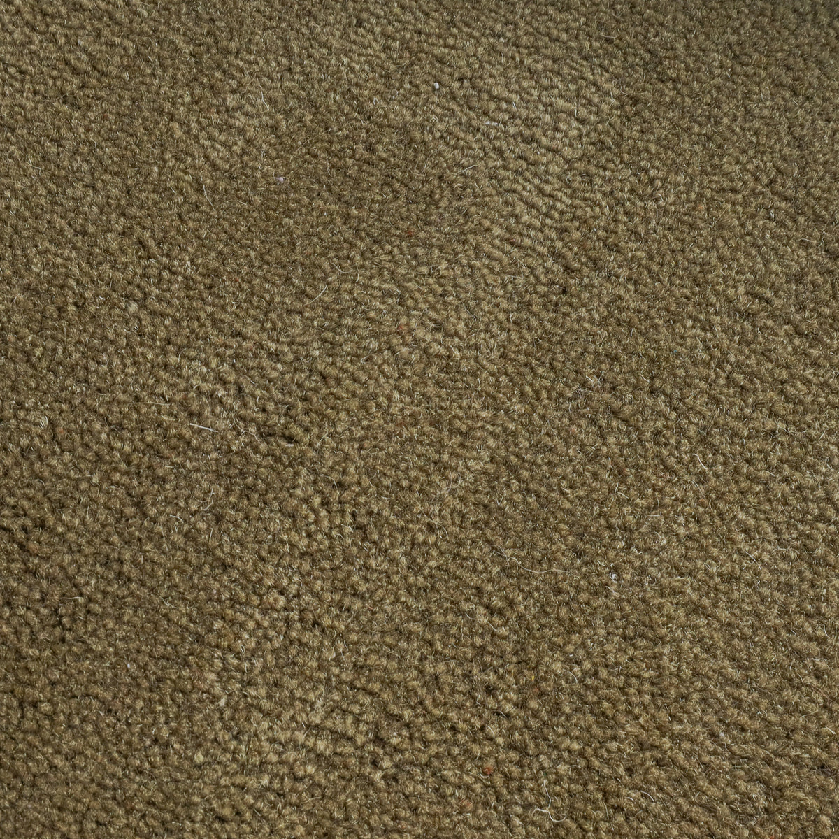 Wool rug - Isara Border Olive Green